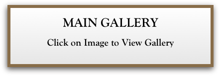 MAIN GALLERY
Click on Image to View Gallery
       